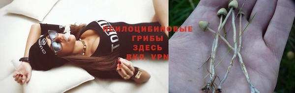 тгк Елизово