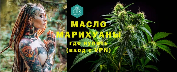 прущие крисы Ельня