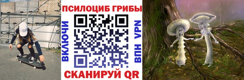 хочу наркоту  Нестеров  Галлюциногенные грибы MAGIC MUSHROOMS 
